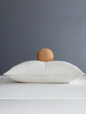 Quince Premium Duck Down Standard Medium Pillow